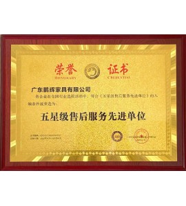 五星級售后服務(wù)先進單位
